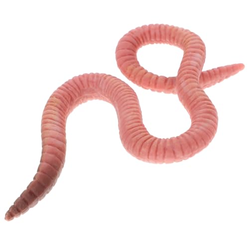 ERINGOGO Regenwurm-modellspielzeug Realistisch Simulationsmodell Gefälscht Wurmspielzeug Kleine Insektenfiguren Kleine Insektenstatue Simulation Von Insektenfiguren Plastik ERINGOGO Regenwurm-modellspielzeug Realistisch Simulationsmodell Gefälscht Wurmspielzeug Kleine Insektenfiguren Kleine Insektenstatue Simulation Von Insektenfiguren Plastik von ERINGOGO