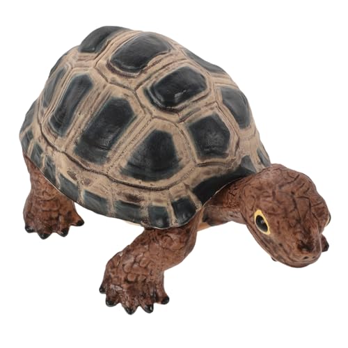 ERINGOGO Schildkröten-Modell interaktives Schildkrötenstatue Schildkröte Musikspielzeug Haustier Schildkröte Mini-Schildkröten-Figuren Lebenszyklusfiguren PVC ERINGOGO Schildkröten-Modell interaktives Schildkrötenstatue Schildkröte Musikspielzeug Haustier Schildkröte Mini-Schildkröten-Figuren Lebenszyklusfiguren PVC von ERINGOGO
