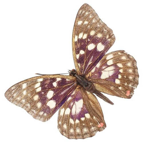 ERINGOGO Schmetterlings-Exemplar Schmetterling Wandkunst echter Schmetterling kleine Schmetterlinge zum Basteln Schmetterlingspräparation echte gerahmte Schmetterlinge von ERINGOGO