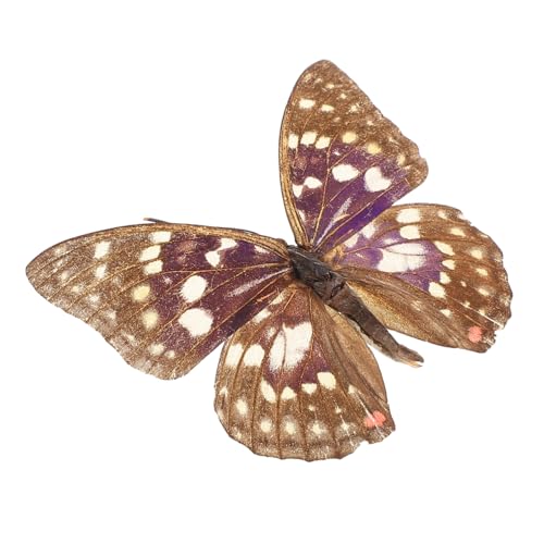 ERINGOGO Schmetterlings-Exemplar Schmetterlingsform Schmetterling Wandkunst Schmetterlingspräparation -Schmetterling Schmetterlingspräparate Ausgestopfte Tiere von ERINGOGO