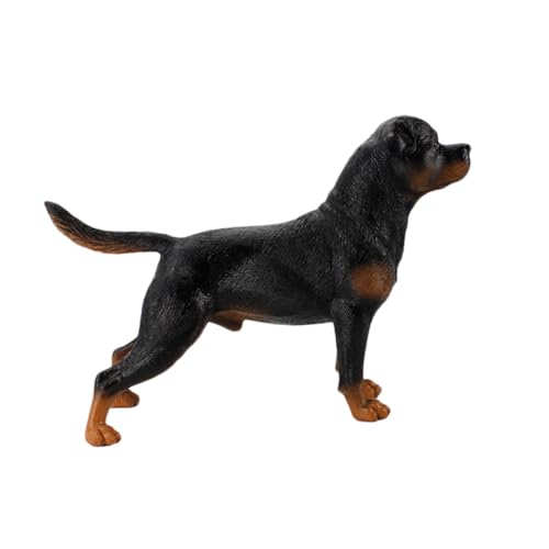 ERINGOGO Simulation Hund Modell Rottweiler Kunststoff Figurine Realistische Dekoration Robust Leicht Tragbar Desktop Schmuck für Erwachsene ERINGOGO Simulation Hund Modell Rottweiler Kunststoff Figurine Realistische Dekoration Robust Leicht Tragbar Desktop Schmuck für Erwachsene von ERINGOGO