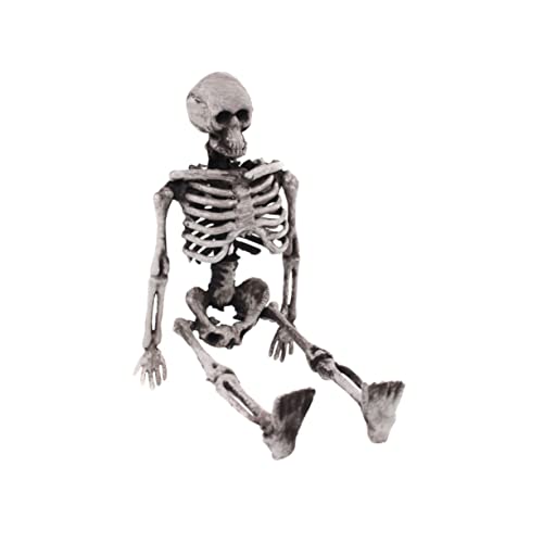 ERINGOGO Skelett Spielzeugmodell Ornament Halloween-Schädeldekoration Skelettfigur Party Halloween Scherzartikel Halloween Dekoration Halloween-Skelett-Requisite Skelettschmuck Plastik Grey von ERINGOGO
