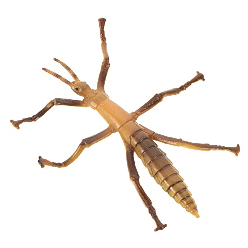 ERINGOGO Stabheuschreckenmodell Realistisches Insekten Für Den Haushalt Lernen Im Haushalt Interessantes Dekoratives Aus Kunststoff von ERINGOGO