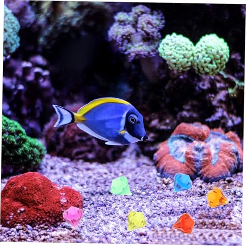 ERINGOGO Tauchspielzeug Set mit Schweren Acryl Edelsteinen Münzen und für Jahre Inklusive Piratenschatztruhe für Pool Strandspiele Schatzsuche und Mottopartys ERINGOGO Tauchspielzeug Set mit Schweren Acryl Edelsteinen Münzen und für Jahre Inklusive Piratenschatztruhe für Pool Strandspiele Schatzsuche und Mottopartys von ERINGOGO