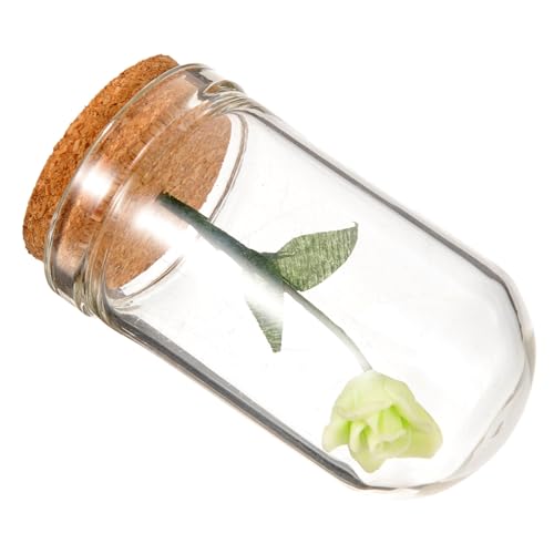 ERINGOGO konservierte Puppenhausmöbel Feengarten Zubehör Figuren Miniaturen Bücher Häuser künstliche blüten Artificial Flower Kunstblume Miniatur-Mini-Hauszubehör Mini-Dekoration Glas von ERINGOGO