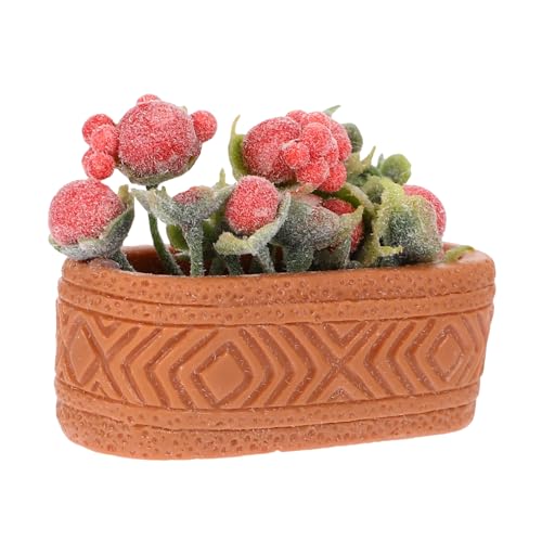 ERINGOGO Miniatur Bonsai Pflanze Für Dekoration Kleine Kunstpflanze Im Topf Zubehör Für -landschaften Und Feengärten von ERINGOGO