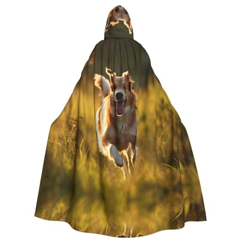 ERSDWRE Halloween-Kapuzenumhang mit Hundeaufdruck, für Männer und Frauen, Kapuzenumhang für Mittelalter-Umhang, Kostüme, Cosplay ERSDWRE Halloween-Kapuzenumhang mit Hundeaufdruck, für Männer und Frauen, Kapuzenumhang für Mittelalter-Umhang, Kostüme, Cosplay von ERSDWRE