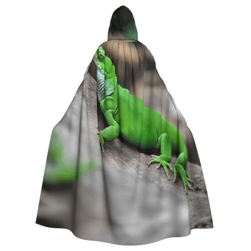 ERSDWRE Halloween-Kapuzenumhang mit grünem Eidechsenaufdruck, für Herren und Damen, für Mittelalter-Umhang, Kostüme, Cosplay ERSDWRE Halloween-Kapuzenumhang mit grünem Eidechsenaufdruck, für Herren und Damen, für Mittelalter-Umhang, Kostüme, Cosplay von ERSDWRE