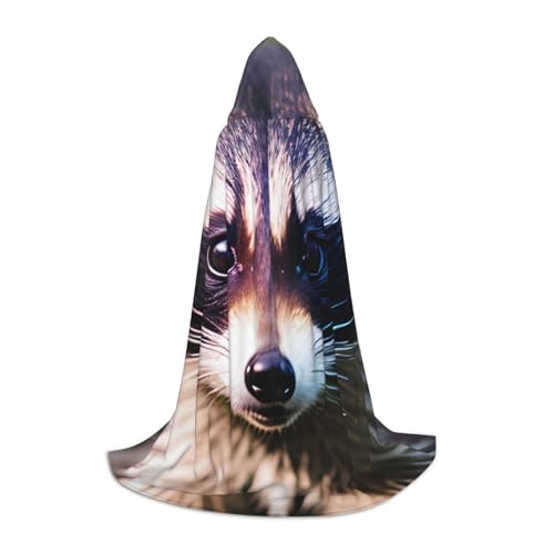 ERSDWRE Little Raccoon Face 1 Print Cloaks Uni Erwachsene Kapuzenumhang perfekt für Halloween Rollenspiele Maskerade Partys von ERSDWRE