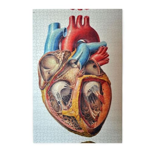 Human Anatomy Heart Chart 1000 Holzpuzzles in Kunststoffboxen (vertikale Version), die erste Wahl für den Genuss der Freizeit von ESASAM