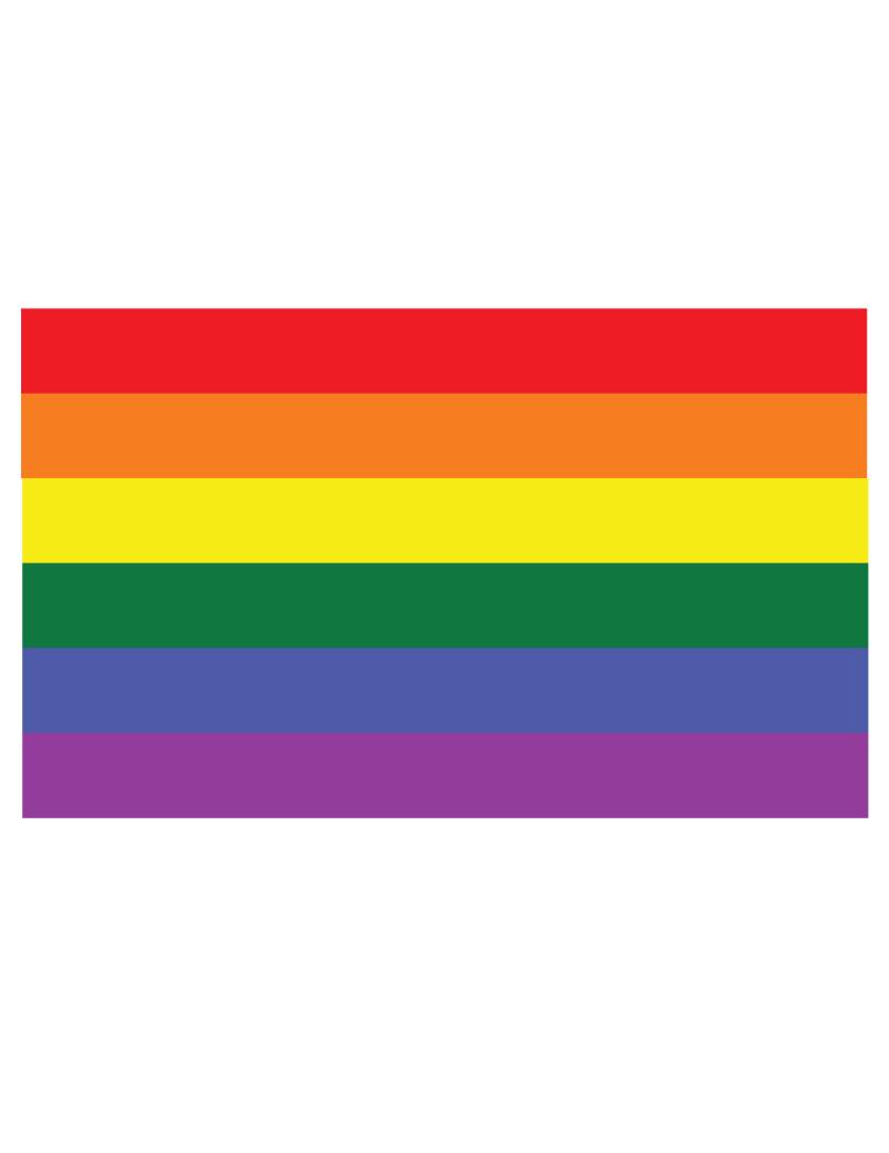 Regenbogen Fahne Pride bunt 150x90 cm von PTIT CLOWN
