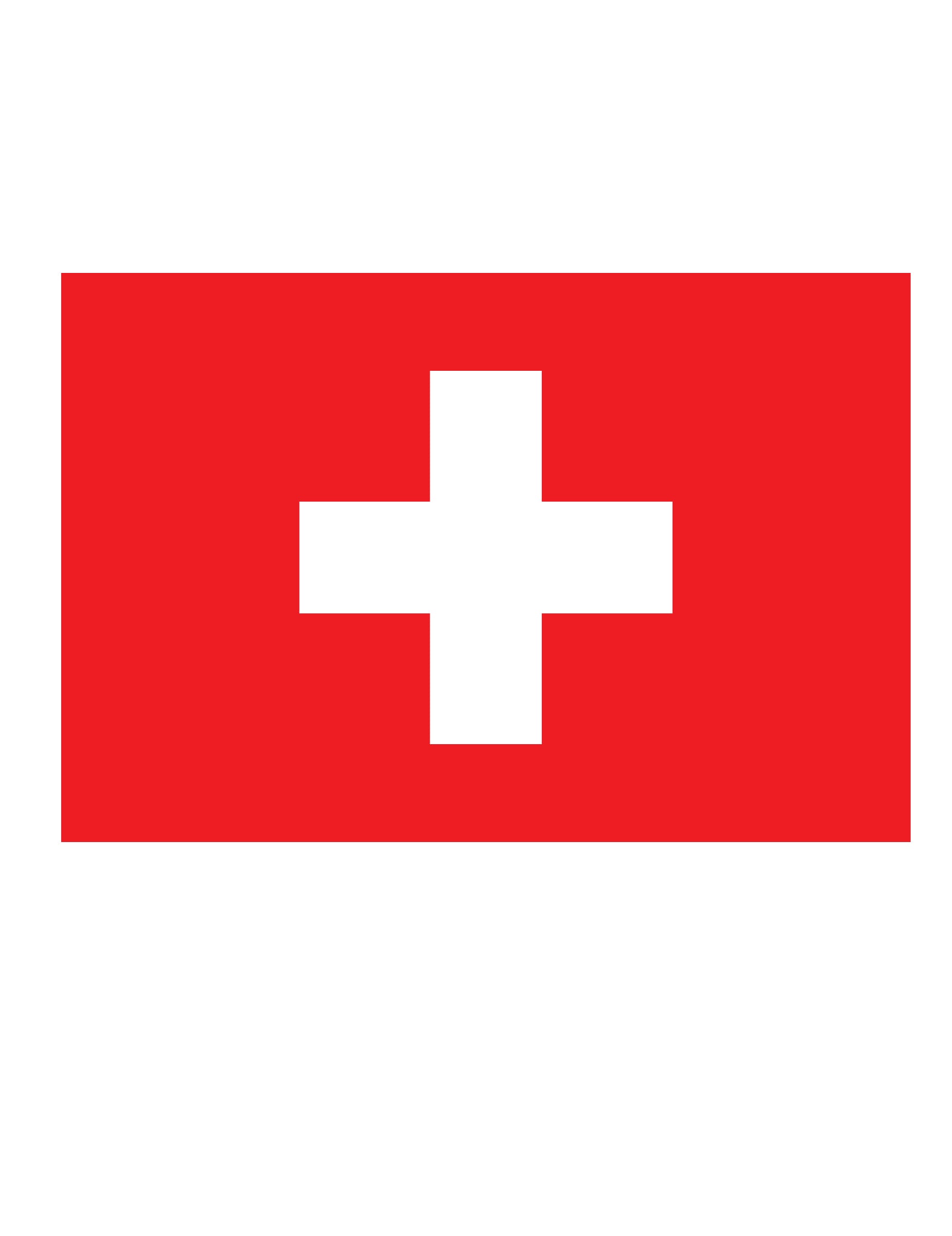 Schweizer Nationalflagge Fan-Flagge rot-weiss 150 x 90 cm von ESPA