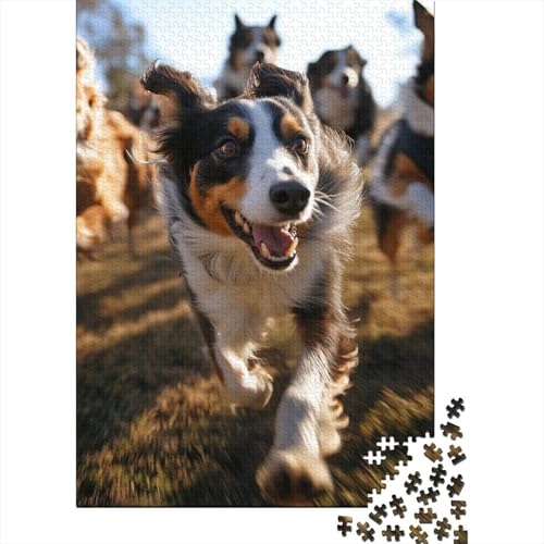 Border Collie Puzzle 1000-teilige Schwer Puzzle Spielzeug Pädagogisches Spiel Impossible Herausforderungsspielzeug Für Erwachsene Und Kinder Ab 12 Jahren 1000pcs (75x50cm) von ESPLJQRYX