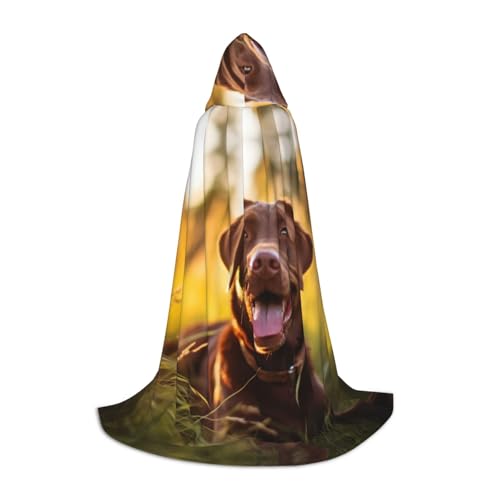 ETASUIOL Brauner Labrador-Retriever-Umhang mit Kapuze für Halloween, Zauberer, Vampir, Sensenmann-Kostüme, Renaissance-Stil von ETASUIOL