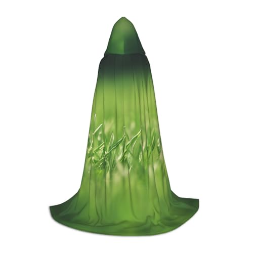 ETASUIOL Umhang mit Kapuze für Halloween, Zauberer, Vampir, Sensenmann, Renaissance-Stil, Grün von ETASUIOL