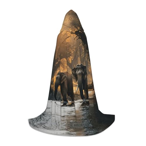 ETASUIOL Umhang mit Kapuze für Halloween, Zauberer, Vampir, Sensenmann, Renaissance-Stil von ETASUIOL
