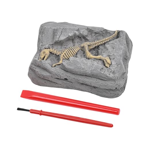 ETUCYNG Dinosaurier -Ausgrabungs -Kit, Dinosaurier Fossil Digging Kit | Graben Sie es Dinosaurier | STEM Learning Science Experimente Bildungsspielzeug mit Archäologie -Werkzeugen für sensorisches von ETUCYNG