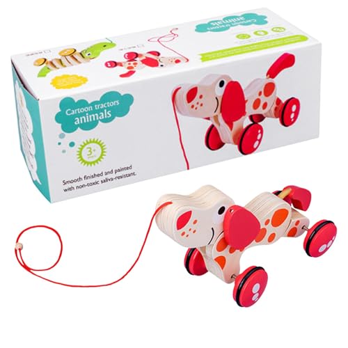 Spielzeug zum Gehen, Spielzeug zum Nachziehen | Nachzieh-Laufspielzeug aus für Kleinkinder - Entwicklungsförderndes Kinderspielzeug mit Schnur für Mädchen und Spielzeug zum Gehen, Spielzeug zum Nachziehen | Nachzieh-Laufspielzeug aus für Kleinkinder - Entwicklungsförderndes Kinderspielzeug mit Schnur für Mädchen und von EUBEISAQI