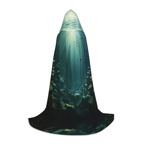 EUIYCBA Halloween-Umhang mit Kapuze unter Wasser durch das Sonnenlicht, Zauberer-Tunika, Kapuzenmantel, Halloween-Umhang, Cosplay-Kostüme EUIYCBA Halloween-Umhang mit Kapuze unter Wasser durch das Sonnenlicht, Zauberer-Tunika, Kapuzenmantel, Halloween-Umhang, Cosplay-Kostüme von EUIYCBA