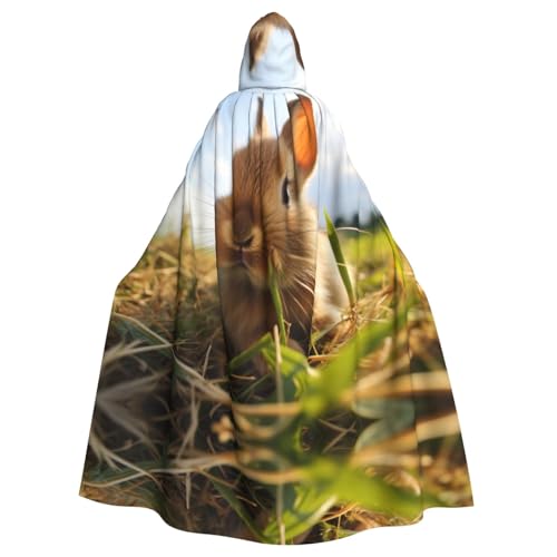 EUIYCBA Kaninchen auf dem Gras Kapuzenumhang mit Kapuze – Herren-Bademantel mit Kapuze, Cosplay-Kostüm, Schwarz EUIYCBA Kaninchen auf dem Gras Kapuzenumhang mit Kapuze – Herren-Bademantel mit Kapuze, Cosplay-Kostüm, Schwarz von EUIYCBA