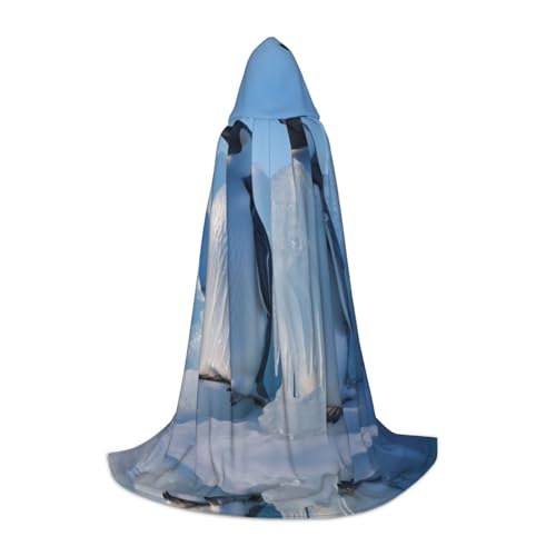 EUIYCBA Süßer Pinguin-Umhang mit Kapuze – Zauberer-Tunika, Kapuzenmantel, Halloween-Umhang, Cosplay-Kostüme von EUIYCBA