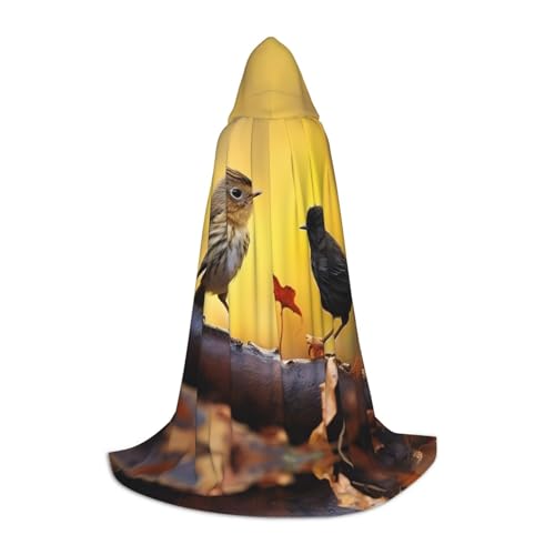 EUIYCBA Vogel auf einem Ast Halloween Kapuzenumhang - Zauberer Tunika Kapuzenmantel Halloween Umhang Cosplay Kostüme EUIYCBA Vogel auf einem Ast Halloween Kapuzenumhang - Zauberer Tunika Kapuzenmantel Halloween Umhang Cosplay Kostüme von EUIYCBA