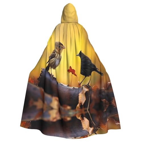 EUIYCBA Vogel auf einem Ast Kapuzenumhang mit Kapuze – Herren-Bademantel mit Kapuze, Cosplay-Kostüm, Schwarz EUIYCBA Vogel auf einem Ast Kapuzenumhang mit Kapuze – Herren-Bademantel mit Kapuze, Cosplay-Kostüm, Schwarz von EUIYCBA