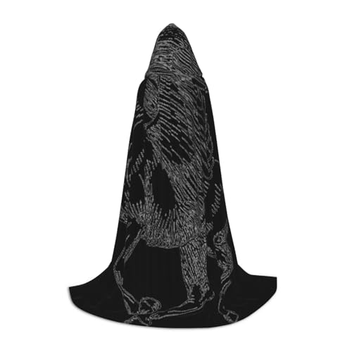 Halloween-Umhang mit Kapuze, bodenlang, Pegasus-Druck, Kapuzenumhang für Teenager Halloween-Umhang mit Kapuze, bodenlang, Pegasus-Druck, Kapuzenumhang für Teenager von EVIUS