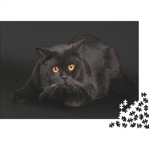 Black Cat Impossible Puzzle, Geschicklichkeitsspiel Für Die Ganze Familie, Farbenfrohes Legespiel, Tier Erwachsenenpuzle 500pcs (52x38cm) von EVMILA