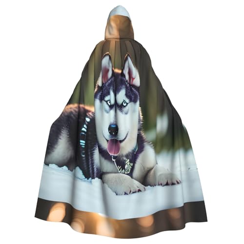 EWQrtyy Husky Hunde-Umhang, Erwachsenen-Halloween-Kapuzenumhang für Kostümpartys, Karneval, Partyzubehör mit großer Kapuze von EWQrtyy