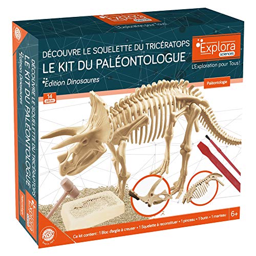 EXPLORA - Triceratops - Paläontologen-Set - 039399 - Ausgrabungs-Gips - Dinosaurier - Entdeckungs-Set - Kinderspiel - Wissenschaftlich - Bildend - Abenteuer - Spaß - Spielzeug - Ab 6 Jahren von EXPLORA