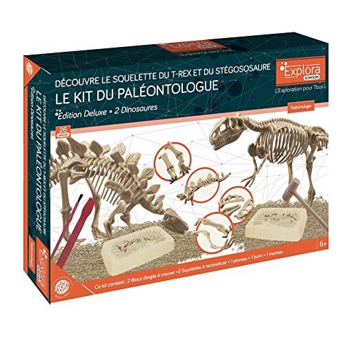 EXPLORA - 2 Dinosaurier-Skelette - Paläontologen-Set - 039402 - Ausgrabungs-Gips - Entdeckungs-Set - Kinderspiel - Wissenschaftlich - Abenteuer - Spaß - Fossilien - Ab 6 Jahren von EXPLORA