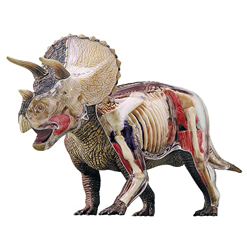 EXPLORA - Triceratops - Paläontologie - 546093 - Realistisches Modell aus 36 Teilen - Montageanleitung und Bildungsquiz - Dinosaurier - Entdeckungsset - Kinderspiel - Wissenschaftlich - Ab 8 Jahren von EXPLORA
