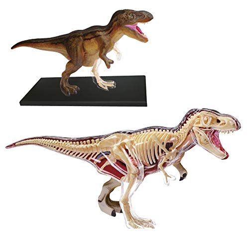 EXPLORA - T-Rex - Paläontologie - 546092 - Realistisches Modell mit 36 Teilen - Montageanleitung und Bildungsquiz - Dinosaurier - Entdeckungsset - Kinderspiel - Wissenschaftlich - Ab 8 Jahren von EXPLORA