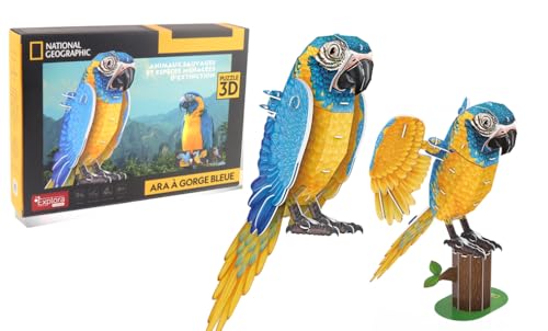 EXPLORA - Loro - 3D-Puzzles - 540212-94 Teile - Tiere - Level 4 - Ohne Kleber oder Schere - Vogel - BAU - National Geographic Lizenz - Bauspiel - Ab 8 Jahren von EXPLORA SCIENCES