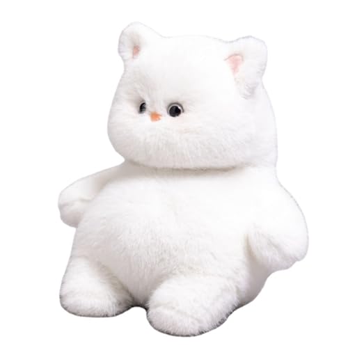 EXQUILEG Plüschtier Flauschiges Stofftier Katze 35cm, Kuscheltier Ausgestopftes Tier Plüschkissen Spielzeug Geschenk Gefüllt Für Kinder Mädchen Jungen EXQUILEG Plüschtier Flauschiges Stofftier Katze 35cm, Kuscheltier Ausgestopftes Tier Plüschkissen Spielzeug Geschenk Gefüllt Für Kinder Mädchen Jungen von EXQUILEG