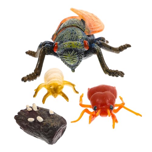 EXQUIMEUBLE Realistisches Zikaden Modell Pädagogisches Lernspielzeug für Naturgetreue Insekten Dekoration Kreativität und Naturerfahrung im Schulunterricht von EXQUIMEUBLE