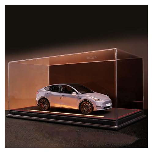 Druckguss 1:24 for Tesla Model Y Serie Legierungsautomodell Simulation Ton Und Licht Pullback-Auto Fahrzeugmodell Mit Vollständig Geöffneter Tür(Gray) von EXYFRUX