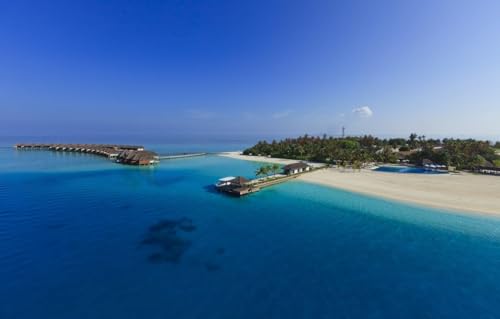1000 Teile Puzzle Für Erwachsene Ab 14 Jahren. Auf Den Malediven Paradise Island Meeresbungalow Auf Stelzen 50x70CM 1000 Teile Puzzle Für Erwachsene Ab 14 Jahren. Auf Den Malediven Paradise Island Meeresbungalow Auf Stelzen 50x70CM von EZMLFA