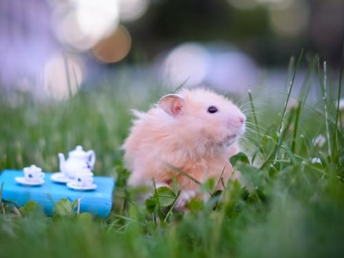 1000-Teile-Puzzle für Erwachsene und Kinder ab 14 Jahren – Hamster, Bär, Spielzeug 50x70CM von EZMLFA