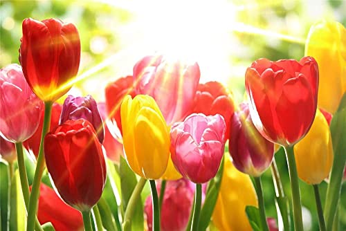 1000 Teile Puzzles für Erwachsene – Tulpenblume, großes Puzzle für pädagogisches Geschenk, Heimdekoration 50x70CM 1000 Teile Puzzles für Erwachsene – Tulpenblume, großes Puzzle für pädagogisches Geschenk, Heimdekoration 50x70CM von EZMLFA