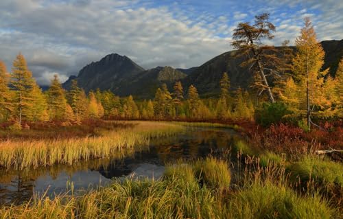 1000-teiliges Puzzle, Bäume, Berge, Russland, Teich, Lärchen, 38 x 52 cm, 70 x 50 cm 1000-teiliges Puzzle, Bäume, Berge, Russland, Teich, Lärchen, 38 x 52 cm, 70 x 50 cm von EZMLFA