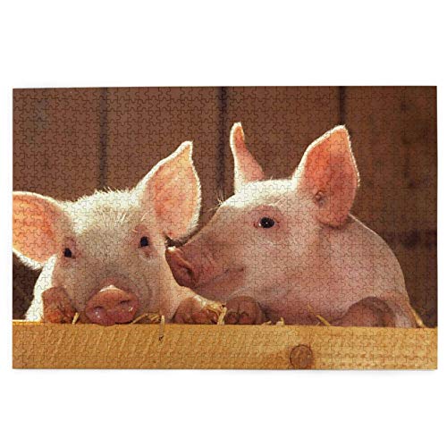 1000-teiliges Puzzle, Ferkel, lustiges Lernspielzeug, Lernspiele, Heimdekoration, Puzzle, 50 x 70 cm 1000-teiliges Puzzle, Ferkel, lustiges Lernspielzeug, Lernspiele, Heimdekoration, Puzzle, 50 x 70 cm von EZMLFA