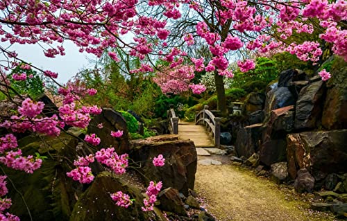 1000-teiliges Puzzle, Naturschönheit, Blumen, Kirschblüten, Brücke, japanischer Garten, 38 x 52 cm 1000-teiliges Puzzle, Naturschönheit, Blumen, Kirschblüten, Brücke, japanischer Garten, 38 x 52 cm von EZMLFA
