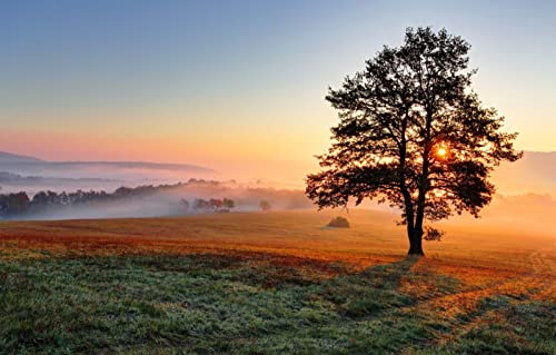 1000-teiliges Puzzle, Naturschönheit, Nebel, Hügel, 50 x 70 cm 1000-teiliges Puzzle, Naturschönheit, Nebel, Hügel, 50 x 70 cm von EZMLFA