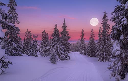 1000-teiliges Puzzle, Naturschönheit, Schnee, 50 x 70 cm 1000-teiliges Puzzle, Naturschönheit, Schnee, 50 x 70 cm von EZMLFA