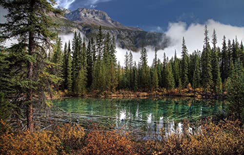 1000-teiliges Puzzle, Naturschönheit, See, Kanada, Fichte, Park, 50 x 70 cm 1000-teiliges Puzzle, Naturschönheit, See, Kanada, Fichte, Park, 50 x 70 cm von EZMLFA