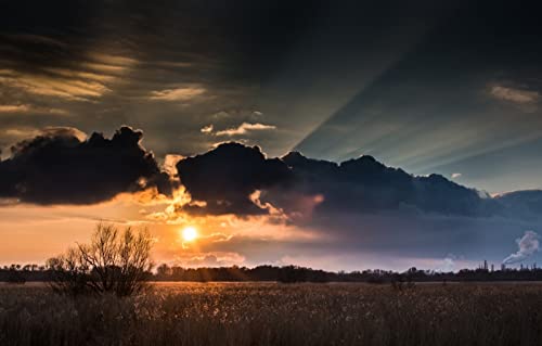 1000-teiliges Puzzle, Naturschönheit, Sonne, Sonnenuntergang, 50 x 70 cm von EZMLFA