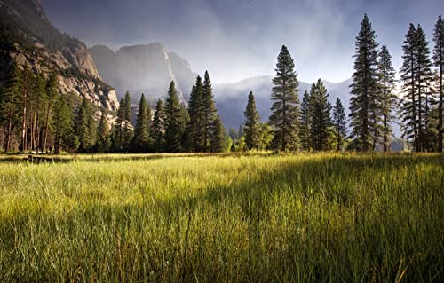 1000-teiliges Puzzle, Naturschönheit, Yosemite Valley, 50 x 70 cm 1000-teiliges Puzzle, Naturschönheit, Yosemite Valley, 50 x 70 cm von EZMLFA