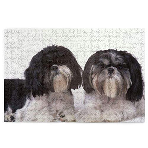 1000-teiliges Puzzle, Tierhund, süßer Shih Tzu, lustiges Lernspielzeug, Lernspiele, Heimdekoration, Puzzle, 50 x 70 cm 1000-teiliges Puzzle, Tierhund, süßer Shih Tzu, lustiges Lernspielzeug, Lernspiele, Heimdekoration, Puzzle, 50 x 70 cm von EZMLFA